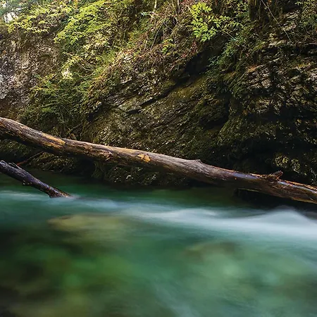 Amazing In With Sauna Tatil Evi Ravna Gora