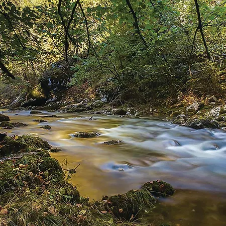 Amazing In With Sauna *