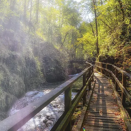 Amazing In With Sauna * Ravna Gora