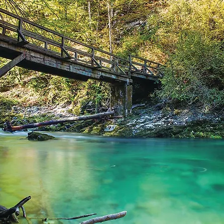 Amazing In With Sauna Tatil Evi